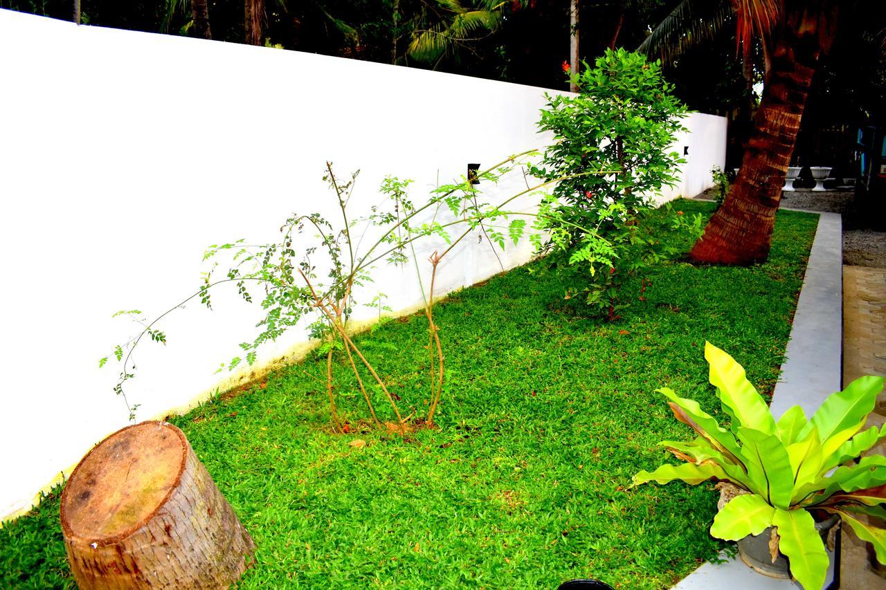 Leonine Villa Yala Tissamaharama Dış mekan fotoğraf